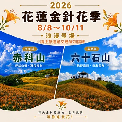 115年度花蓮縣金針花季2